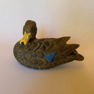 Mallard hen