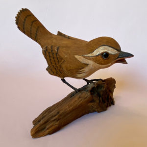 House wren